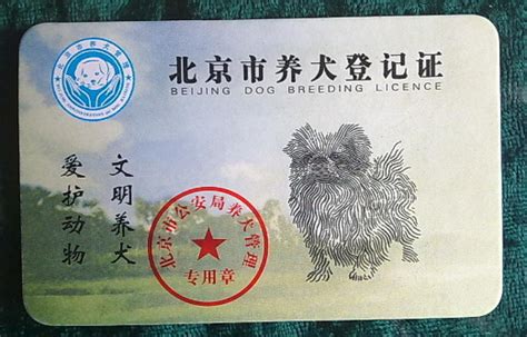 如何在上海文明养犬,上海办狗证需要带什么