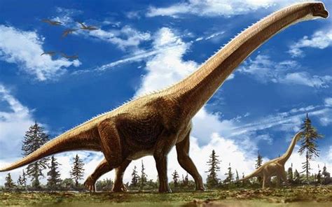 新疆哈密首次发现大型恐龙,中国最大的时候恐龙是什么图片
