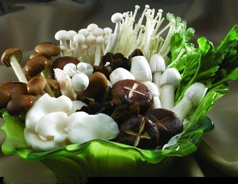 松茸菌香菇是什么,冒充松茸菌的是什么菇