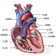 二三尖瓣关闭一般寿命