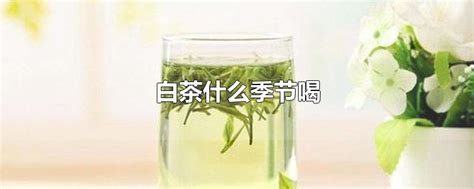 广州早茶怎么泡茶,...广式茶 潮式食品的早茶怎么做
