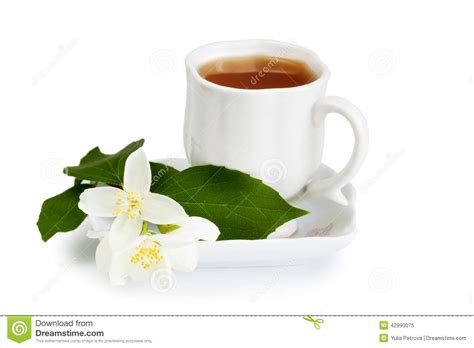 茉莉花茶中的提花是什么,老福州茉莉花茶知识分享