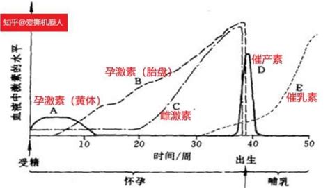 女性六十岁后还有激素分泌吗