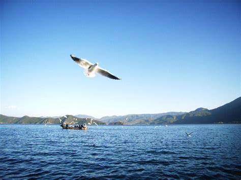 中国第三大深水湖泊，位于云南，古称鲁窟海子，被誉为高原明珠!