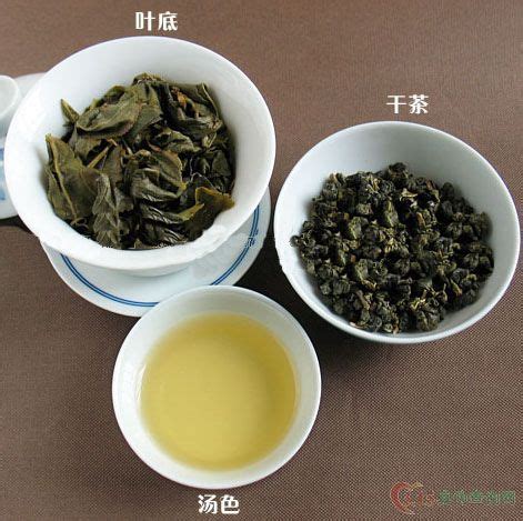 图解乌龙茶有哪些品种,你知道乌龙茶有哪些品种吗