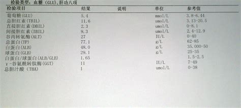 备孕半年没怀挂什么科检查