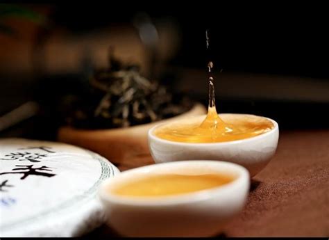 云南带苦味的茶有哪些,你知道云南都有哪些茶叶种类吗
