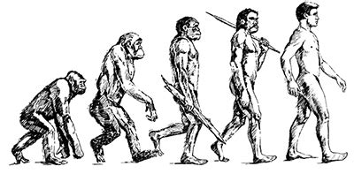 人类为什么要进化,人类进化为什么要舍弃全身毛