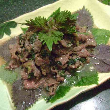 湘菜野山椒牛肉的做法,野山椒牛肉怎么炒