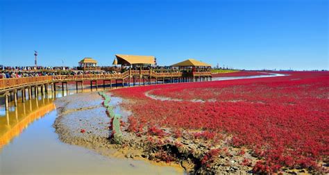 红海滩具体在盘锦哪个区