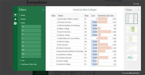 Microsoft office professional excel