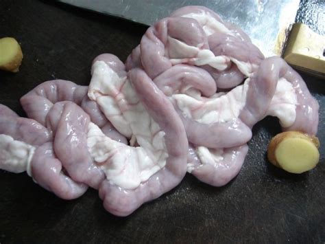 教你猪大肠最好吃的几种做法,五香猪大肠怎么做好吃