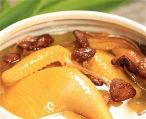 姬松茸与红枣枸杞一起炖鸡汤吗 推荐姬松茸杞枣炖鸽子