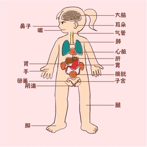 宫前位一般是男孩还是女孩