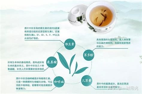 普洱茶属于什么红茶吗,红茶和普洱茶有什么不同