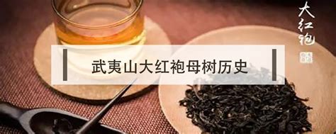 祁门红茶和大红袍的区别在哪,武夷山岩茶和大红袍有什么区别