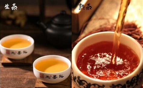 普洱茶生茶和熟茶哪个更减肥,减肥效果哪个更好