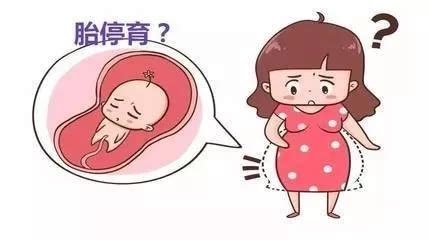 胎停多久妊娠反应消失