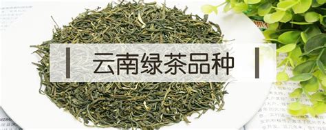 云南绿茶种植在什么地区,绿茶适合什么土壤种植