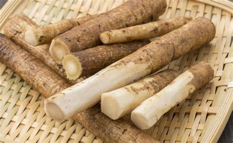 牛蒡茶有什么功效?