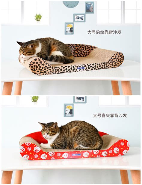 猫为什么喜欢钻纸箱,猫咪为什么要抓木板