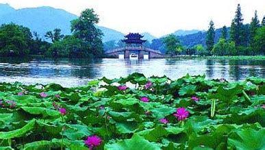 美丽西湖-写景作文550字[推荐6篇]