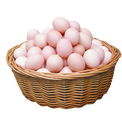 为什么超市鸡蛋没有土鸡蛋好？,一般都在哪儿买土鸡蛋呢