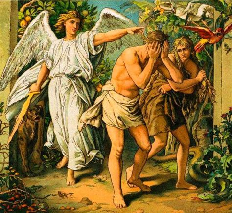 亚当夏娃当时为啥偷吃禁果,为什么亚当夏娃偷吃禁果