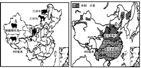 我国哪些地方是甜菜的主产区?