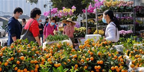 去花卉市场买花要注意哪些