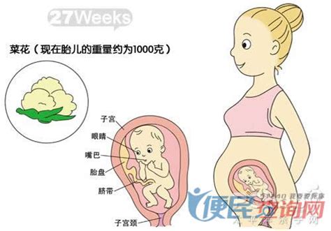 孕27周胎儿位置低怎么办