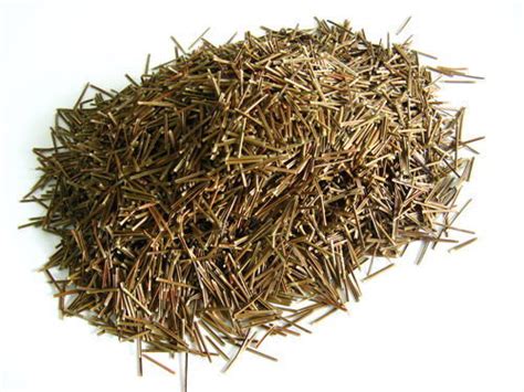 松针红茶是什么品种,大叶红茶是什么品种