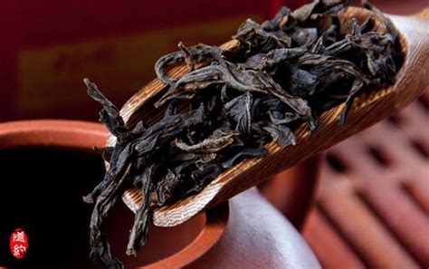 醇香和浓香的红袍哪个好喝,武夷山一座充满茶香和茶文化的城市