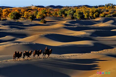 世界上令人叹为观止的沙漠奇境！