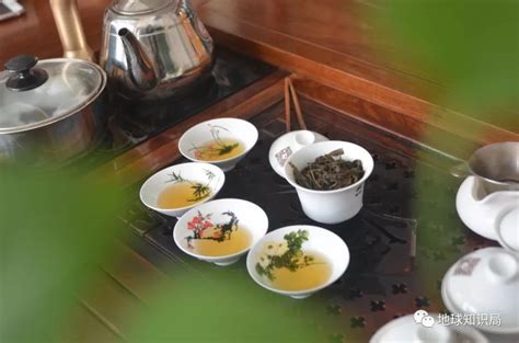 陆羽的什么是中国茶文化的标志,中国茶文化什么为标志