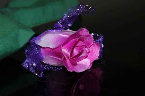 玫瑰花所有的花语是什么意思,玫瑰花的颜色代表什么