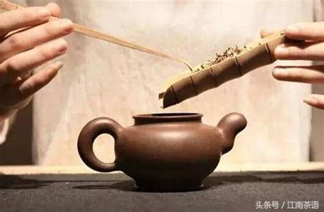 福鼎白茶茶叶在茶水里能泡多久,广西什么茶叶有名