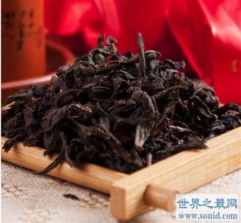 中国有多少千年古茶树,这里有温州唯一的千年古茶树