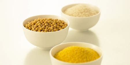 大豆蛋白是什么造的