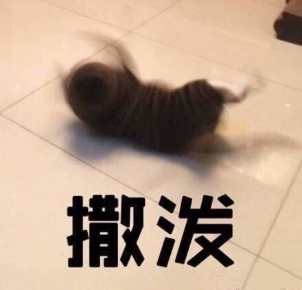 一言不合就撒泼打滚？专家教你两个法则修正孩子的“偏差行为”