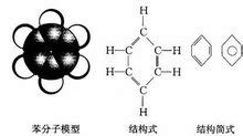 苯基乙胺对人体影响