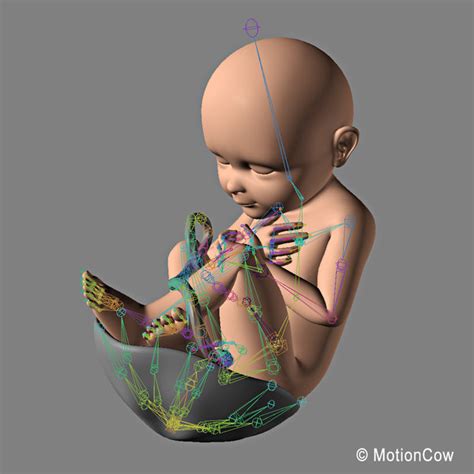 想生儿子的孕前准备清宫图