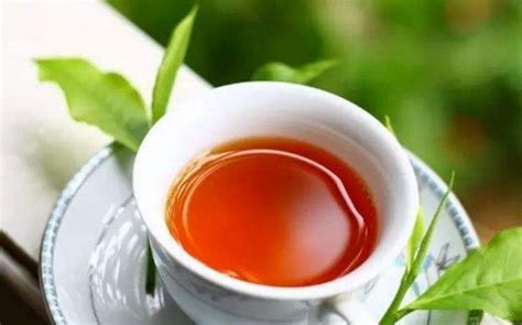 红茶的味道是什么味道,崂山红茶味道是什么味道