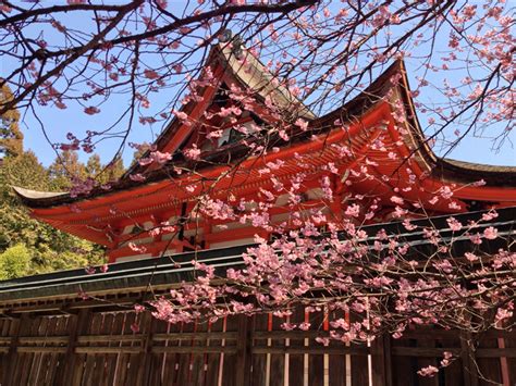 如果说东京是日本的心脏，那么京都可以说是日本的灵魂