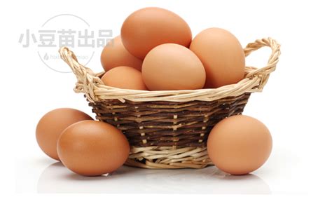 鸡蛋可以每天都给小孩子吃吗最多的小孩