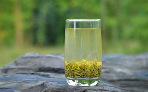 乌龙茶属于什么茶,什么茶是属于绿茶