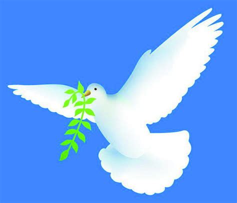和平使者——鸽子_可爱的鸽子作文700字（经典6篇）