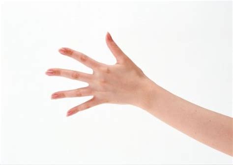 无名指是哪个手指食指,无名指比食指长证明智商高