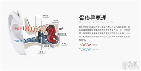 耳伴康骨传导耳机是什么原理?