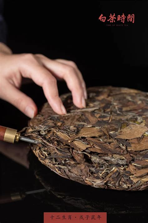 新买的白茶饼如何保存,时不时撬来喝的白茶饼